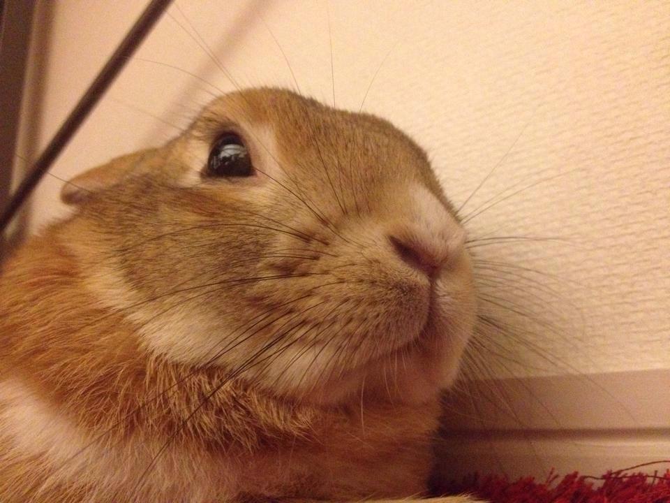 10176138_753428750722_8997771737131095421_n